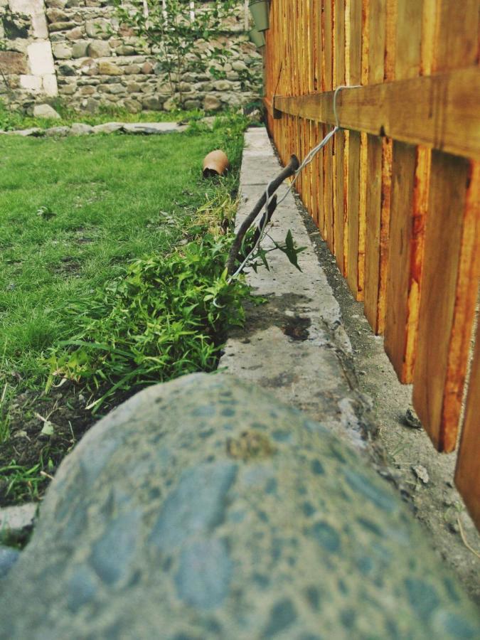 Cherry House Kazbegi Esterno foto