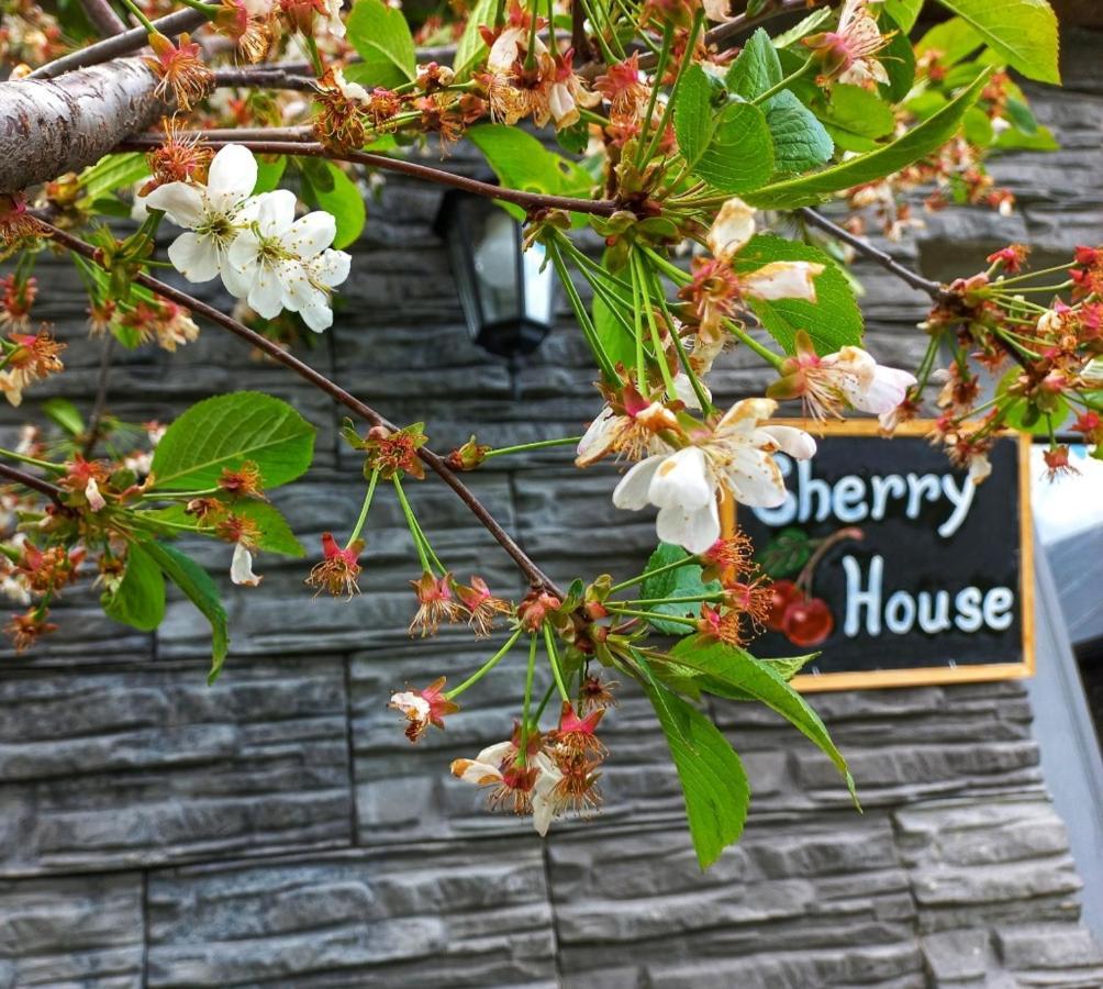 Cherry House Kazbegi Esterno foto